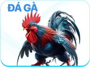da-ga-go8